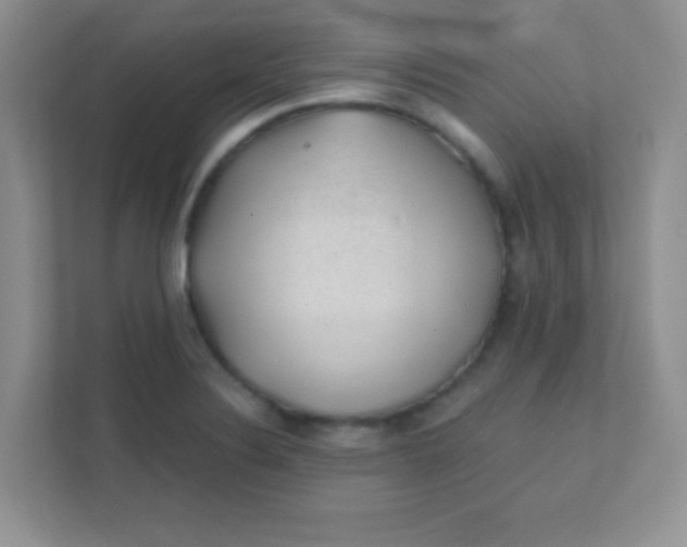 X0000111381324200907311045