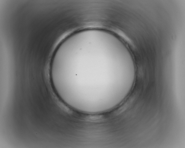 X0000111381325200907311045