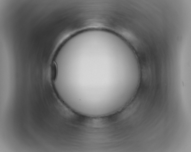 X0000111381326200907311046