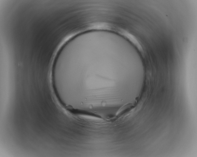 X0000111381331200907311046