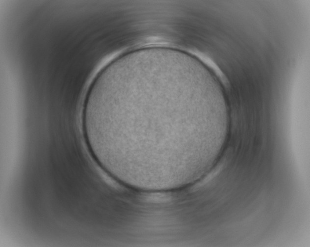 X0000111381333200907311046