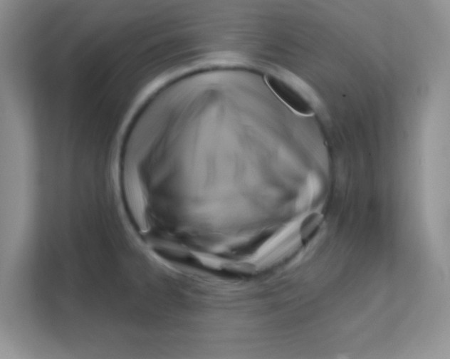 X0000111381334200907311046