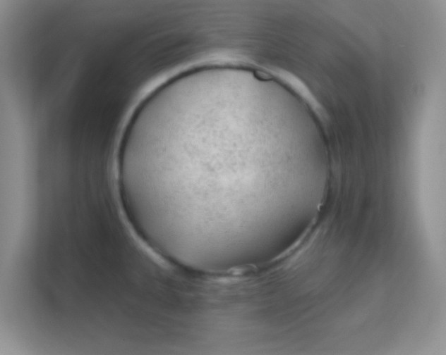 X0000111381335200907311046