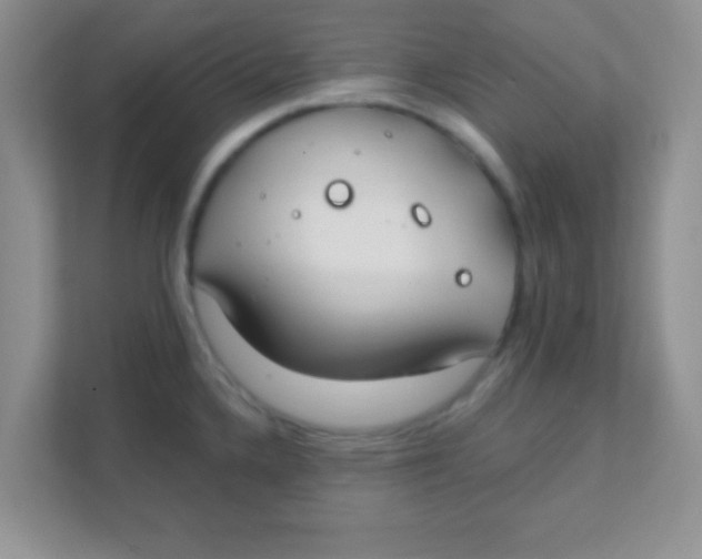 X0000111381336200907311046