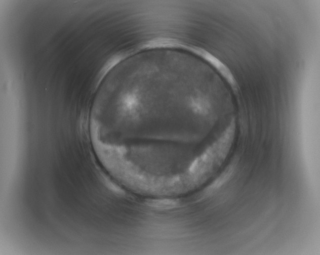 X0000111381337200907311046