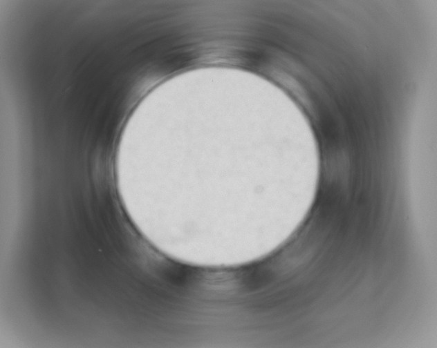 X0000111381338200907311046