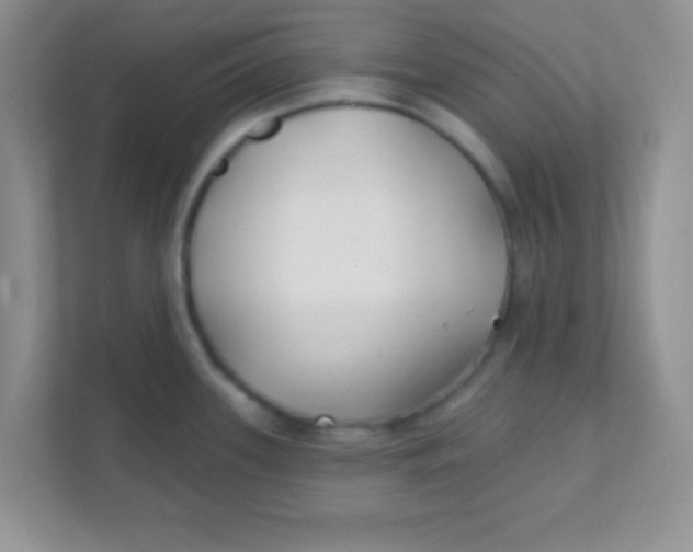 X0000111381339200907311046