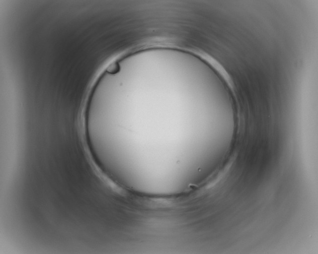 X0000111381341200907311046