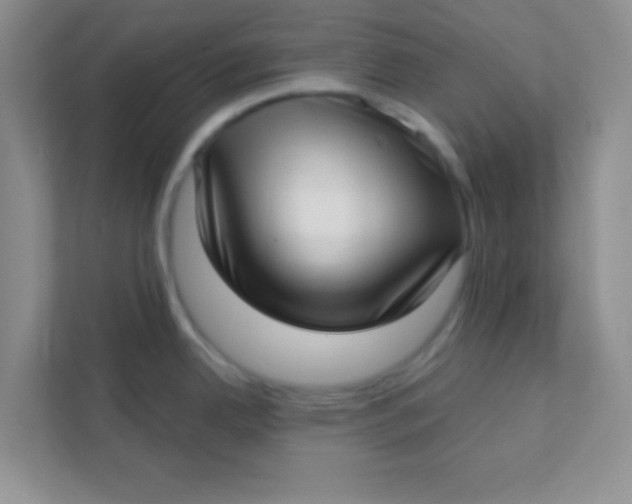 X0000111381342200907311046