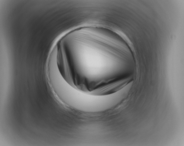 X0000111381344200907311046