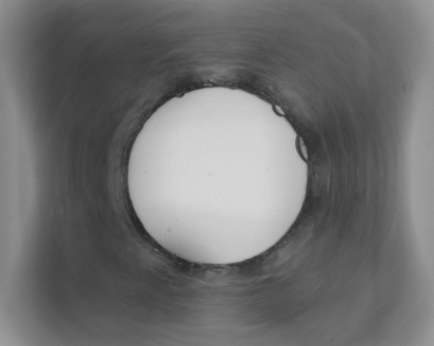 X0000111381345200907311045