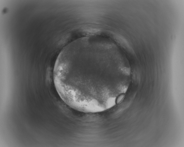 X0000111381346200907311045