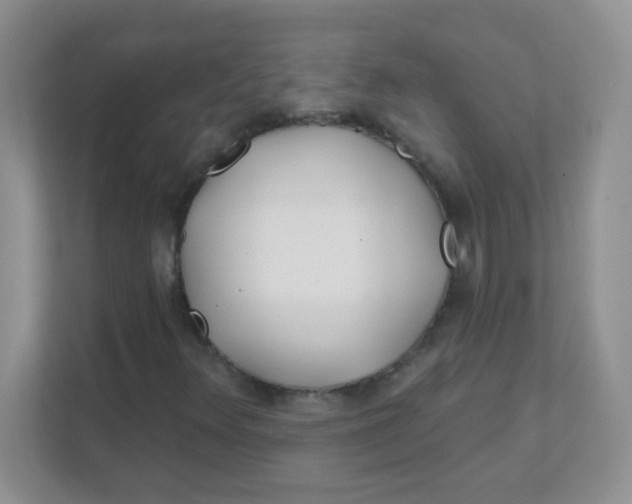 X0000111381348200907311045