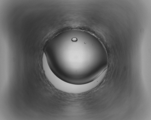 X0000111381349200907311045