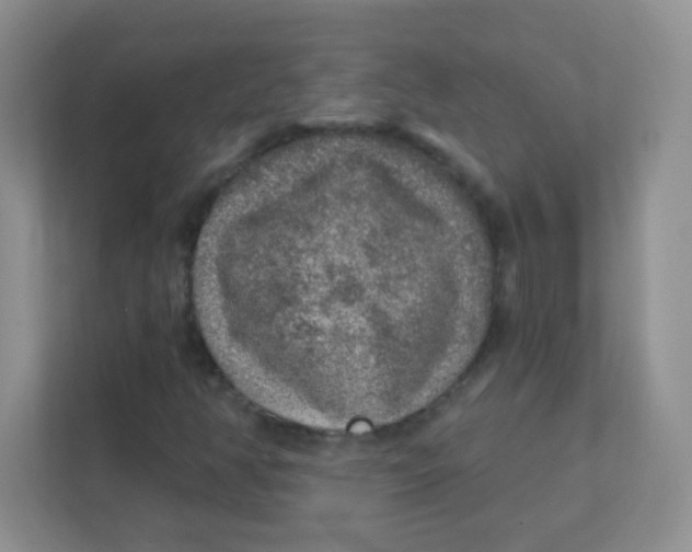 X0000111381350200907311045