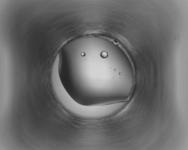 X0000111381353200907311045