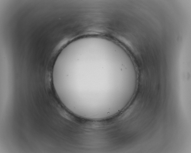 X0000111381355200907311045