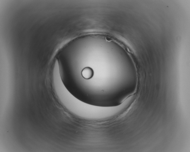 X0000111381357200907311045