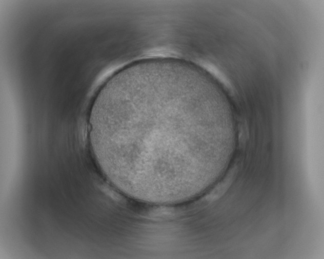 X0000111381358200907311045