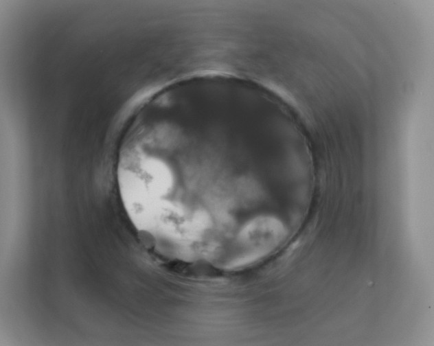 X0000111381359200907311045