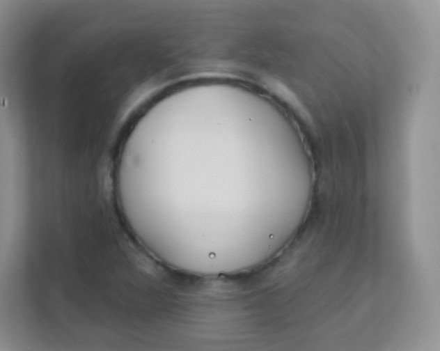 X0000111381360200907311045