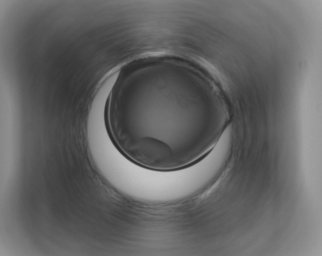 X0000111381361200907311045