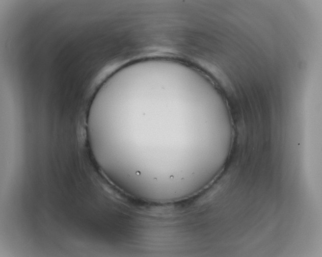 X0000111381363200907311045