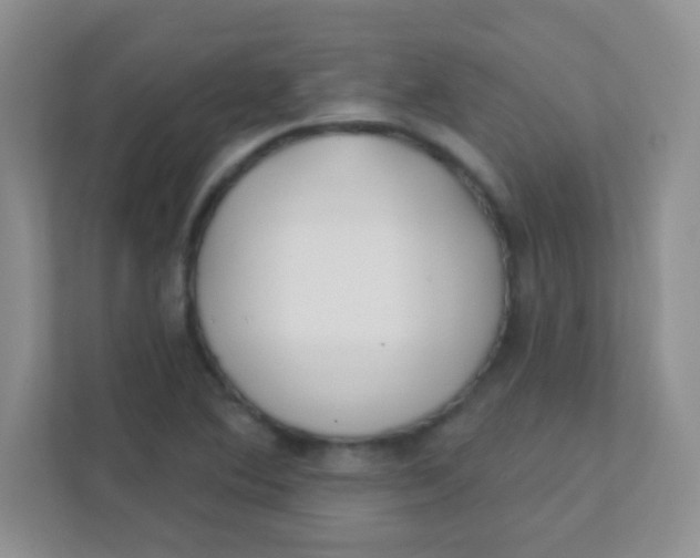 X0000111381364200907311045