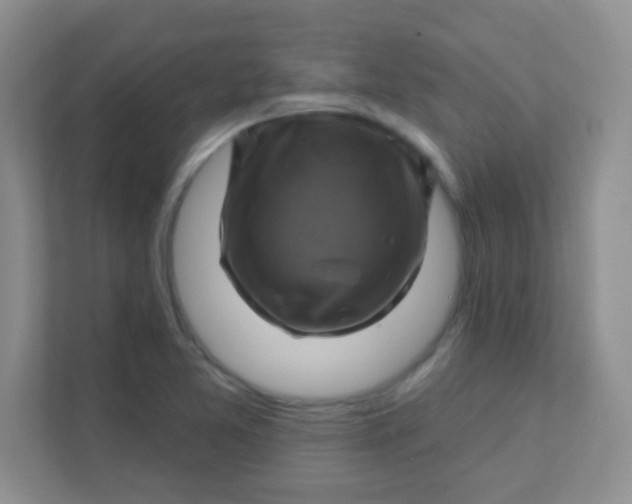 X0000111381365200907311045