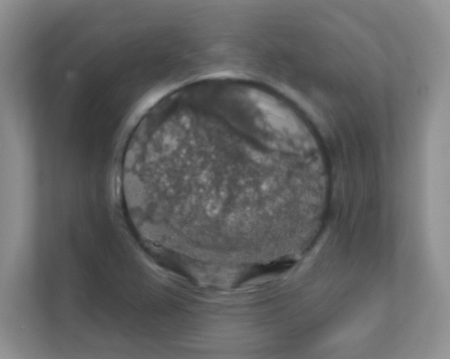 X0000111381367200907311045