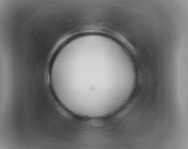 X0000111381368200907311045