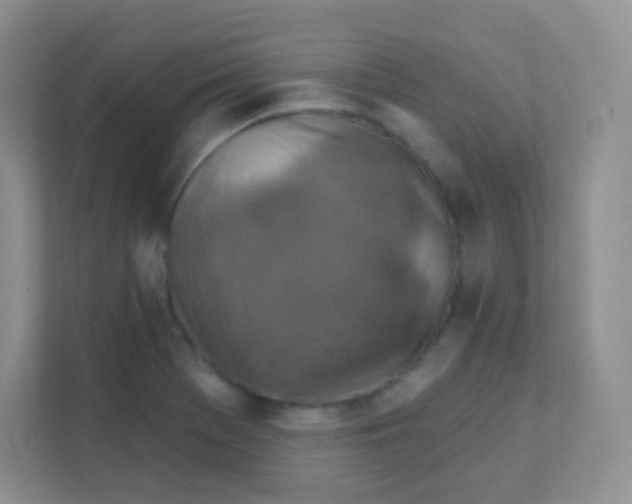 X0000111381369200907311045