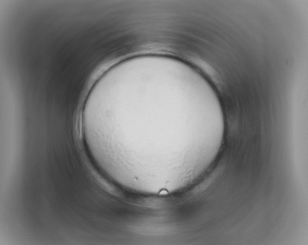 X0000111381371200907311045