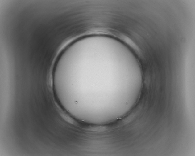 X0000111381372200907311045