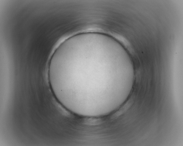 X0000111381374200907311045