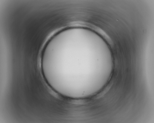 X0000111381376200907311045