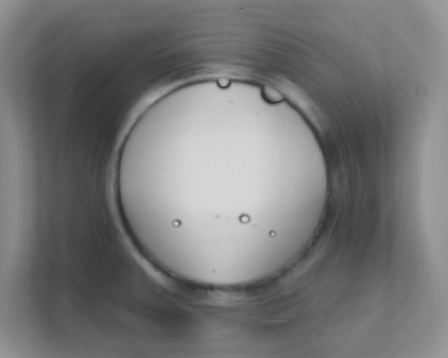 X0000111381379200907311045