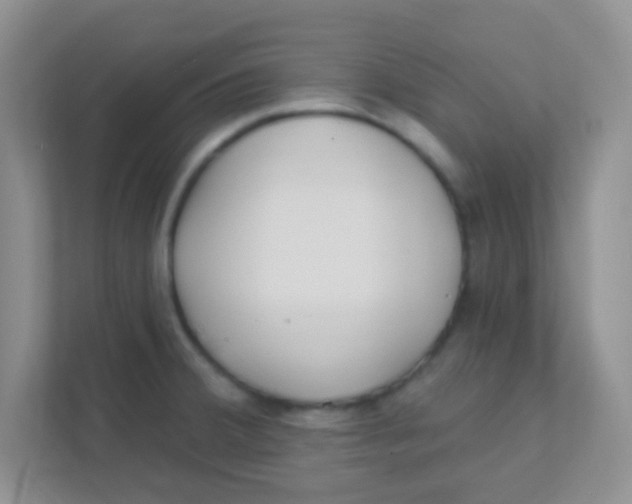 X0000111381380200907311045