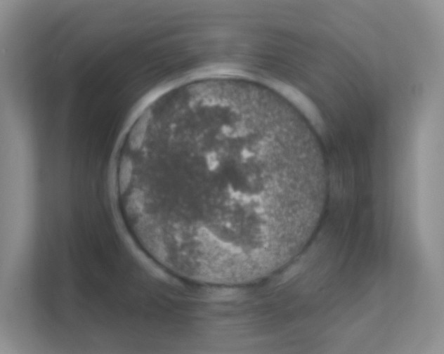 X0000111381382200907311045