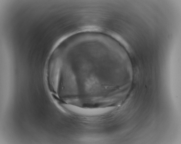 X0000111381383200907311045