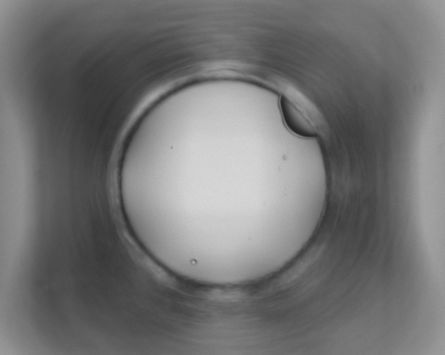 X0000111381384200907311045