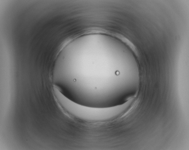 X0000111381385200907311045