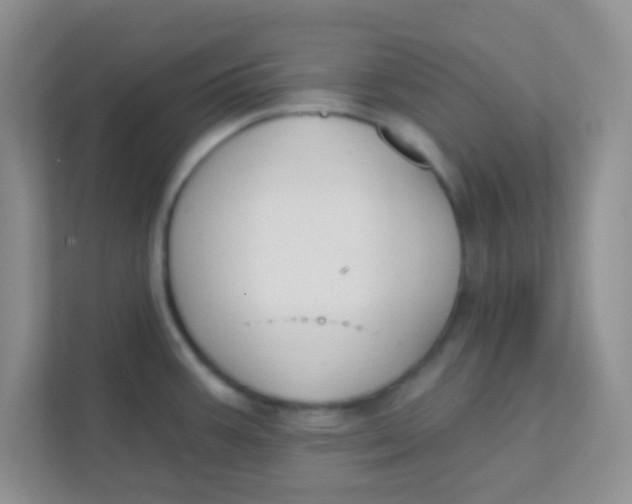 X0000111381387200907311045