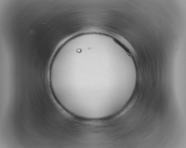 X0000111381388200907311045