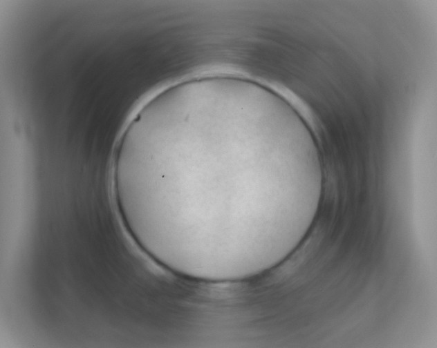 X0000111381390200907311045