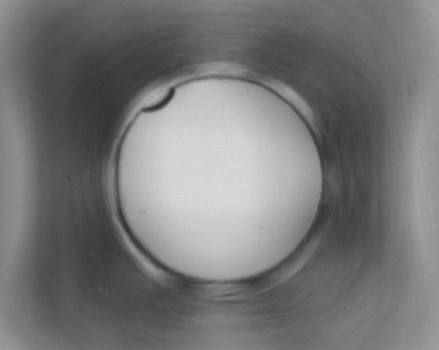 X0000111381391200907311045