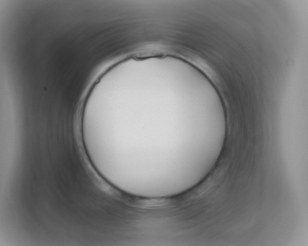 X0000111381392200907311044