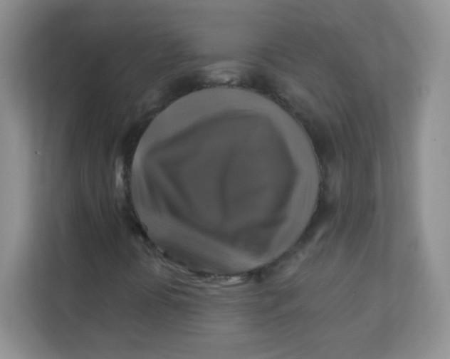 X0000111381394200907311044