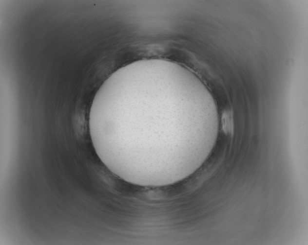 X0000111381395200907311044