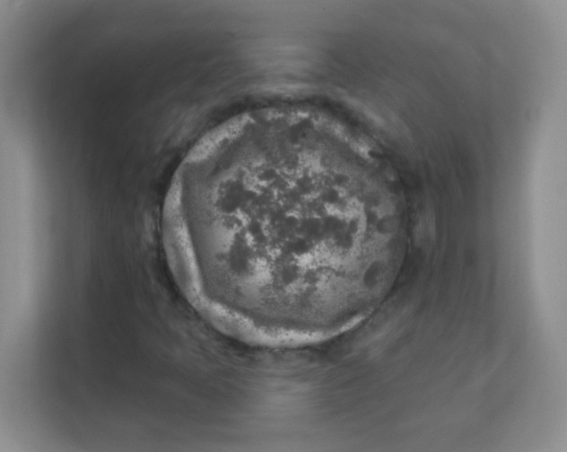 X0000111381397200907311044